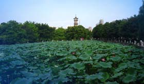 廣西大學(xué)2018年MBA“君武計(jì)劃”（提前面試）細(xì)則