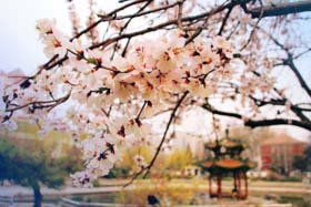 2019MBA聯考，你難道要放棄么？ ————北京交通大學“MBA聯考提分有招”系列活動全面啟動