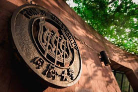 同濟經管專業學位2020線上講座系列預告，聽學生校友企業導師談新冠疫情下的思考與應對
