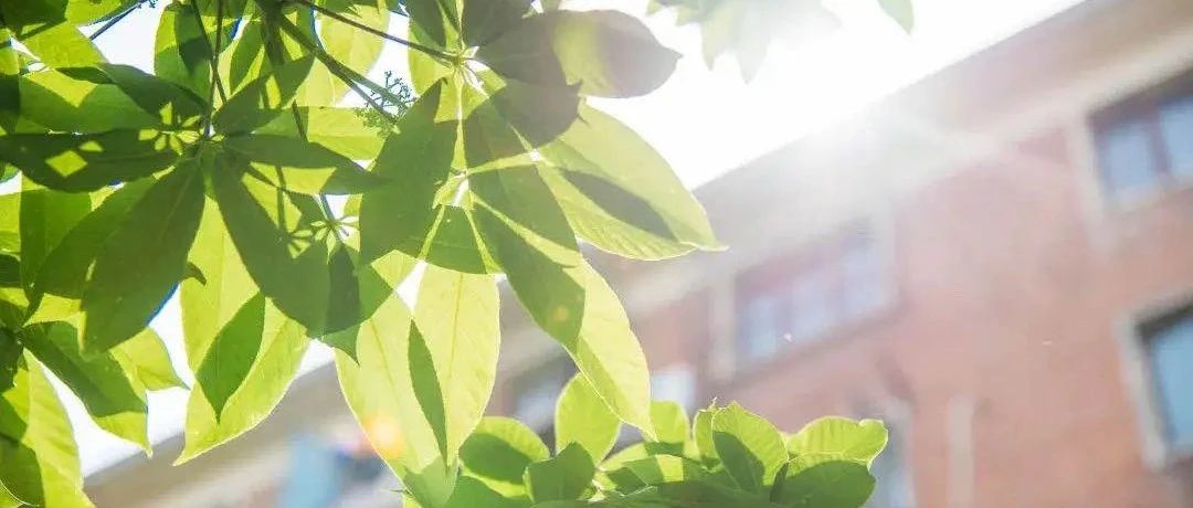 “求是?先鋒”體驗(yàn)營｜2026年人大商學(xué)院MBA申請(qǐng)全面開啟