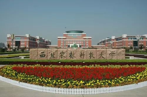 知農(nóng)憫農(nóng) 以“梨”扶人—農(nóng)林科大MBA認(rèn)購乾縣滯銷酥梨活動(dòng)倡議書