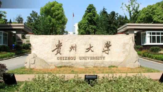 貴州大學(xué)管理學(xué)院MBA教育中心 赴盤州市丹霞鎮(zhèn)梅子沖村開展助力脫貧攻堅活動