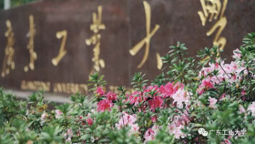 重磅！廣工首次入榜泰晤士高等教育世界大學排名前1000名！