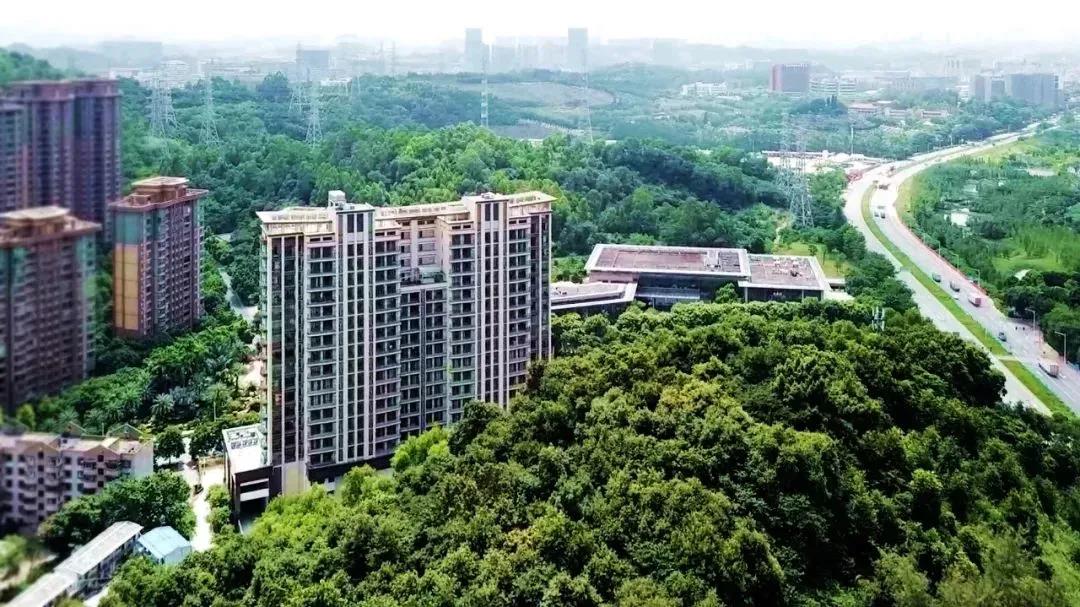 新聞 | 中央財經大學粵港澳大灣區研究院研究生培養方案研討會順利召開