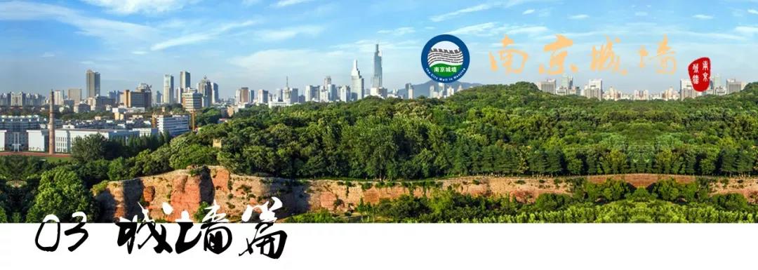 417城墻見 | 走進MBA助力南京城墻申遺背后的故事（三）
