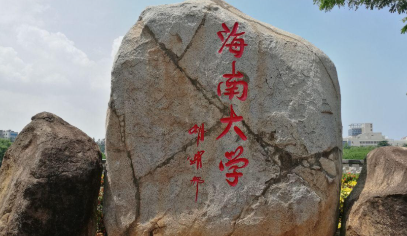 喜報！海南大學管理學院在2021年MPAcc全國案例大賽華南賽區獲佳績