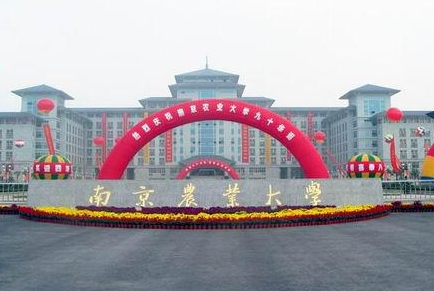 2022年南京農業大學MBA網報指南