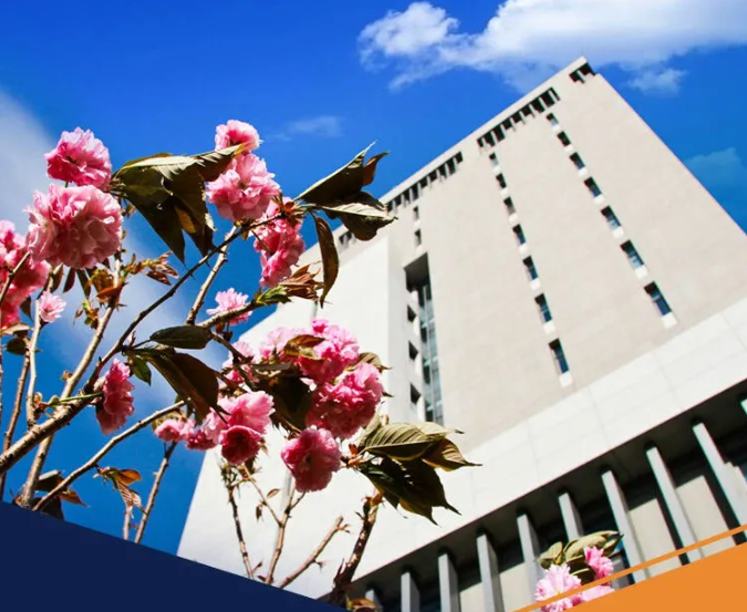 2022中國石油大學(xué)（北京）工商管理碩士（MBA）網(wǎng)報流程