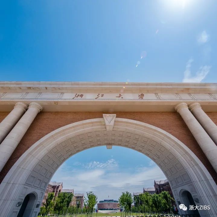 提醒！浙大ZIBS iMBA第二場提前批面試報名申請將于7月11日截止