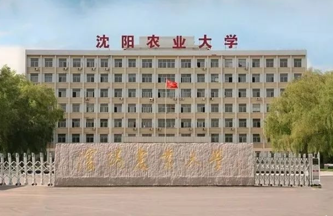 沈陽農(nóng)業(yè)大學工商管理學位點調(diào)整 | 2020年動態(tài)調(diào)整撤銷和增列的學位授權(quán)點名單公布