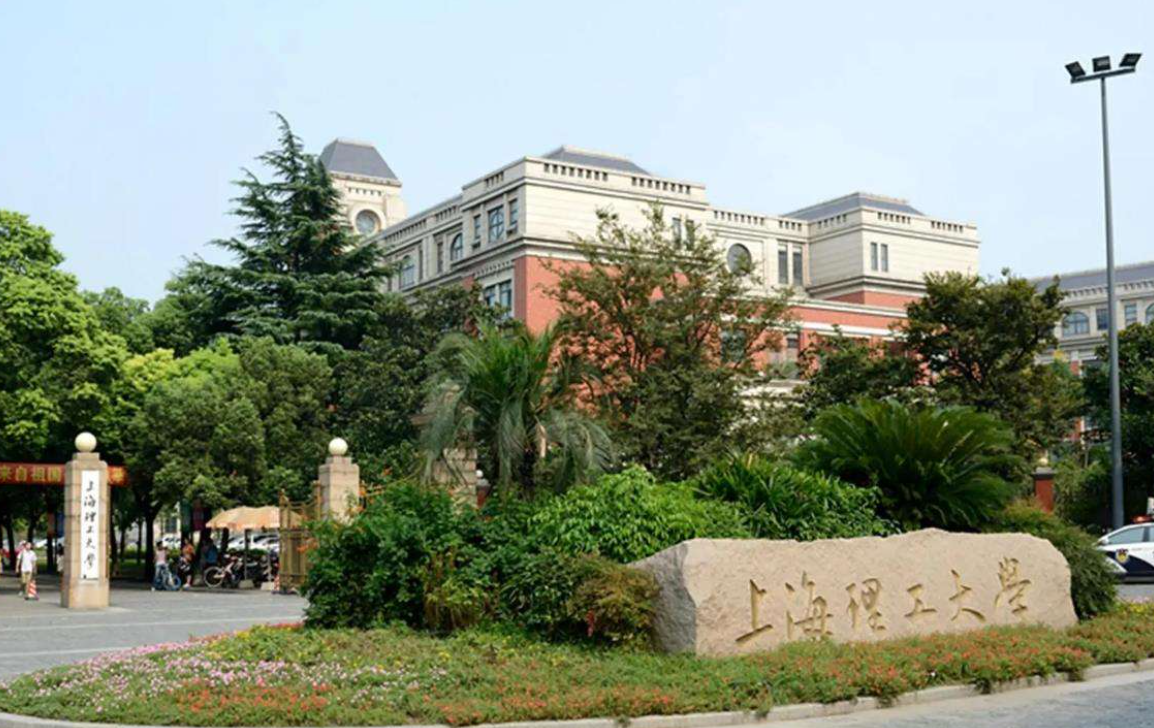 聲音 | 上海理工大學趙來軍：乘中歐班列東風 提升供應鏈韌性