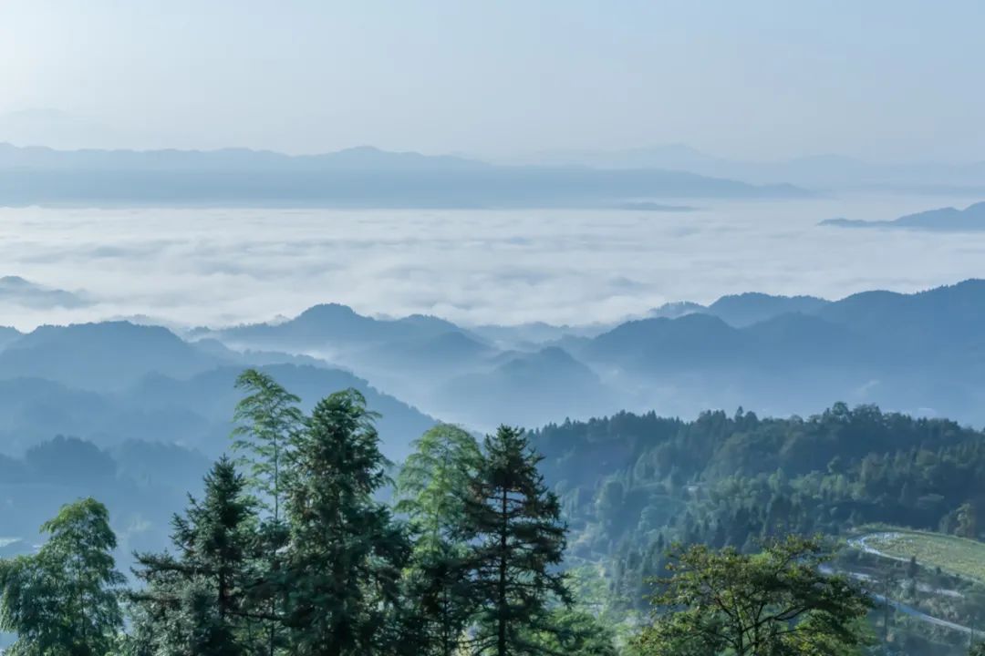 陳春花：一封公開信