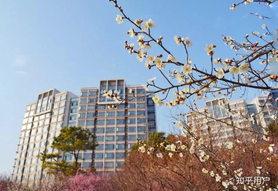 江蘇大學2023年工商管理碩士（MBA）招生簡章