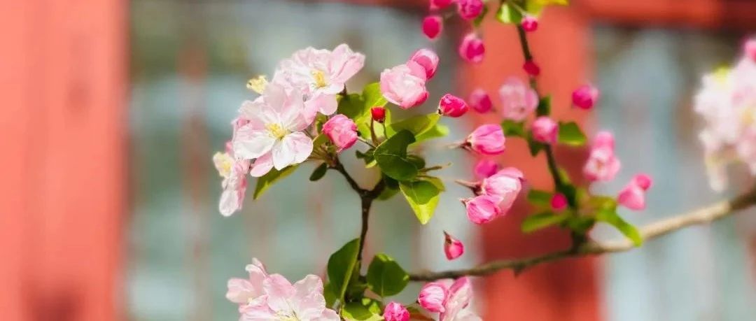 4月20日 | 北大國(guó)發(fā)院MBA申請(qǐng)一對(duì)一咨詢（重慶）