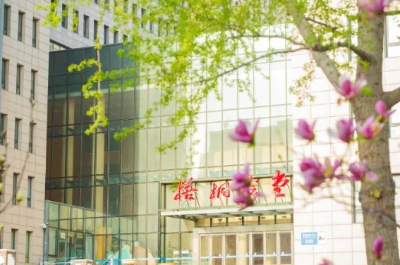 僅剩13個名額，北京語言大學2025年會計專碩接收調劑！