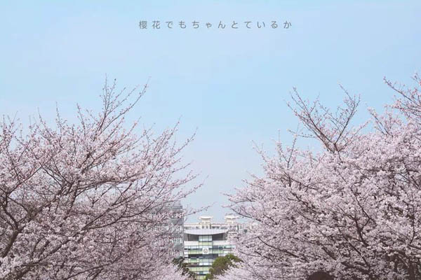 微信圖片_20190308151854-4.jpg